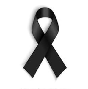 Meet your Posher, Yordin